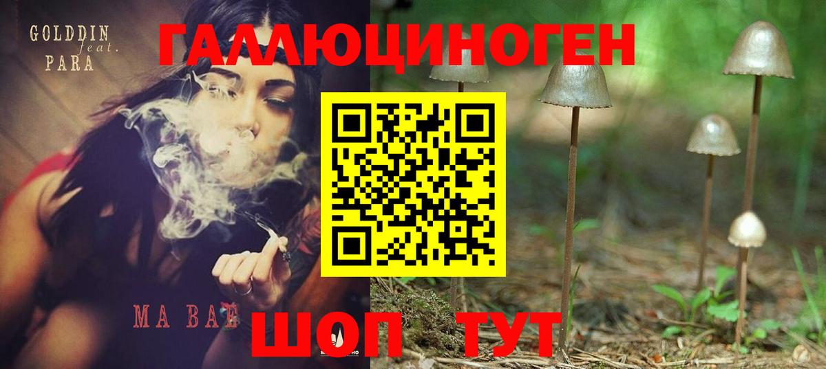 Сургут  Галлюциногенные грибы Cubensis  Вход с VPN 